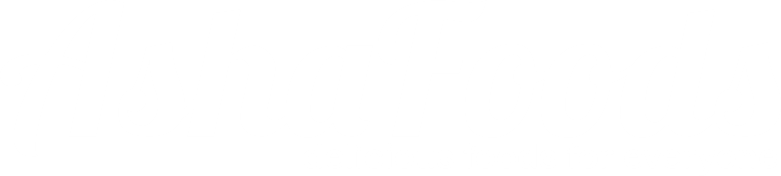 Asha Foods